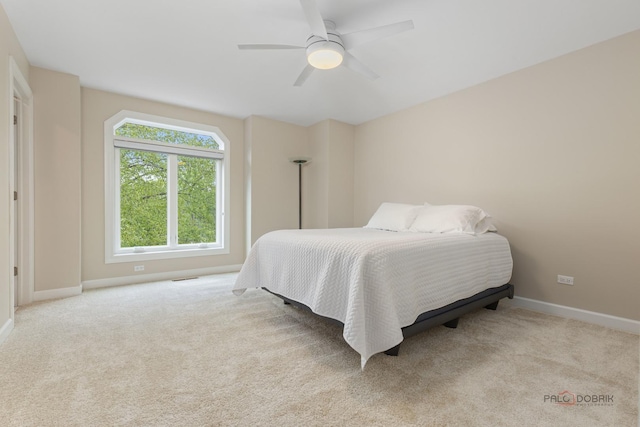 5272 Pineham Ct, Long Grove, IL 60047 - carpeted bedroom with baseboards and a ceiling fan