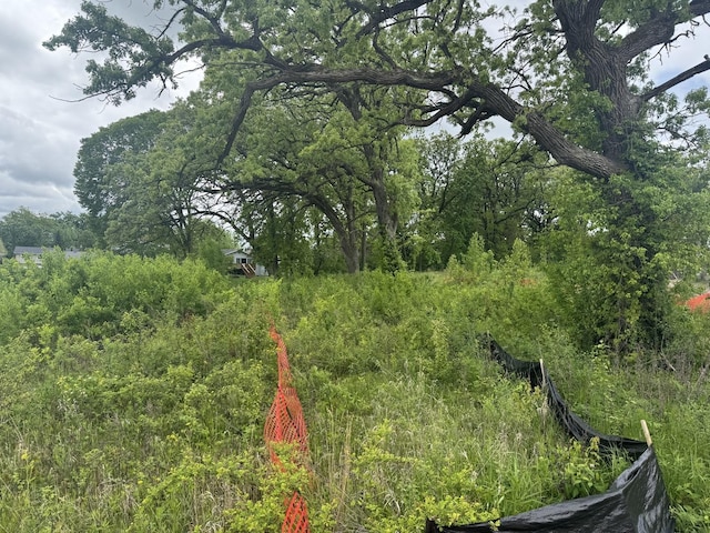 16 Stonebridge Ct, Schaumburg, IL 60193 - view of local wilderness