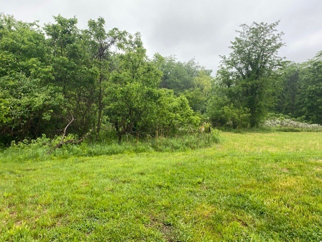27844 1260 N Ave, Princeton, IL 61356 - view of wooded area