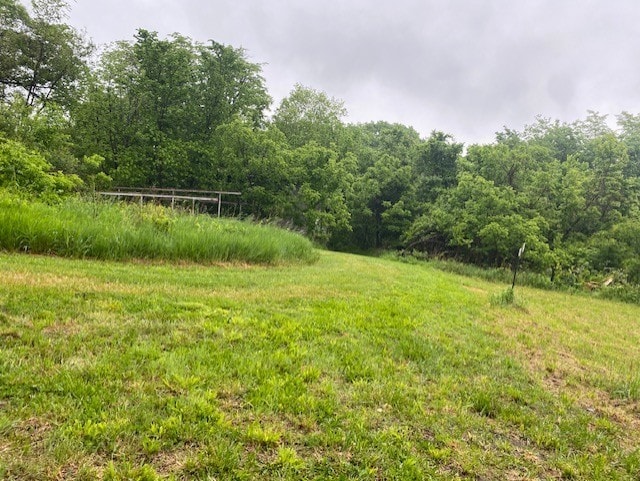 27844 1260 N Ave, Princeton, IL 61356 - view of yard with a view of trees
