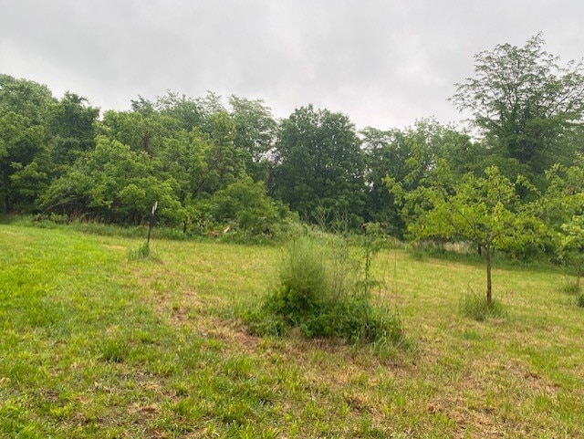 27844 1260 N Ave, Princeton, IL 61356 - view of woods