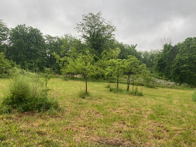 27844 1260 N Ave, Princeton, IL 61356 - view of nature