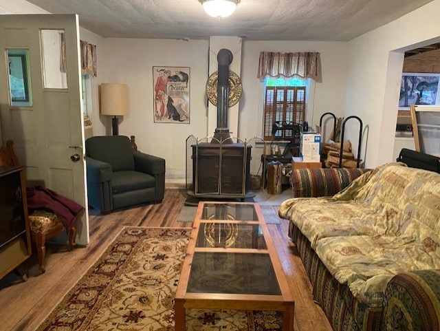 27844 1260 N Ave, Princeton, IL 61356 - living room featuring wood finished floors
