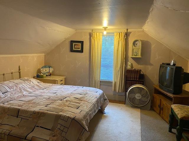 27844 1260 N Ave, Princeton, IL 61356 - bedroom featuring lofted ceiling and carpet