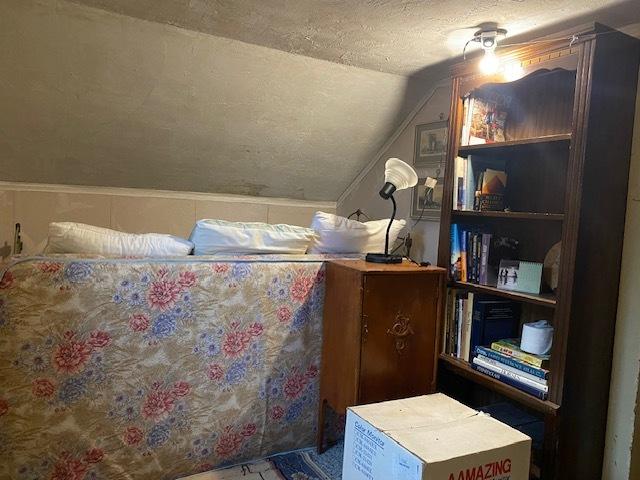 27844 1260 N Ave, Princeton, IL 61356 - bedroom featuring vaulted ceiling and a textured ceiling