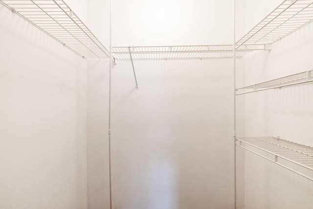 690 Thorntree Ct Unit C1, Bartlett, IL 60103 - view of walk in closet
