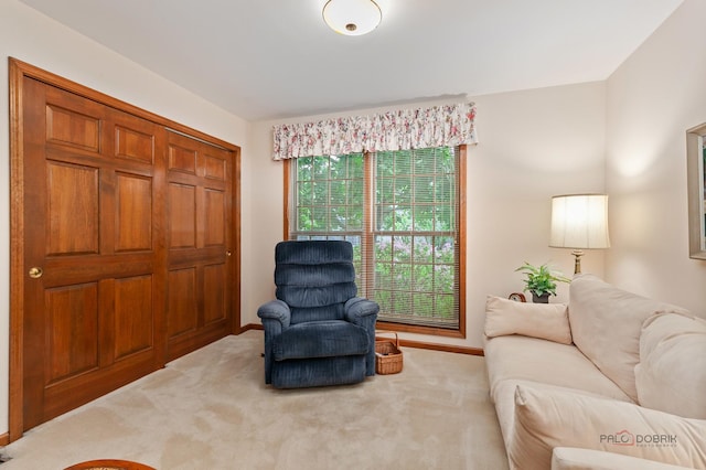 2872 Whispering Oaks Ct, Buffalo Grove, IL 60089 - living area with carpet flooring and baseboards