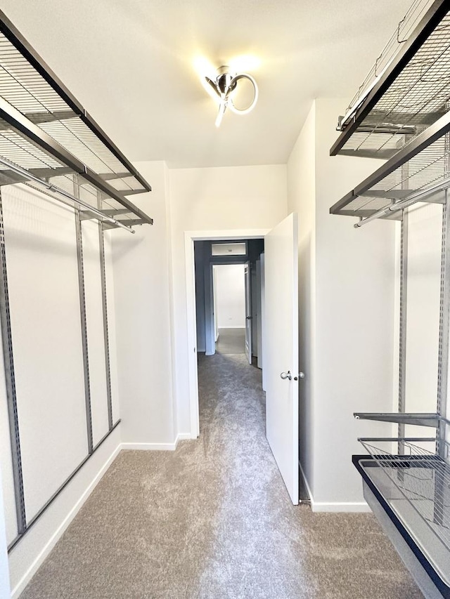 208 W Washington St Unit 1711, Chicago, IL 60606 - spacious closet featuring carpet flooring