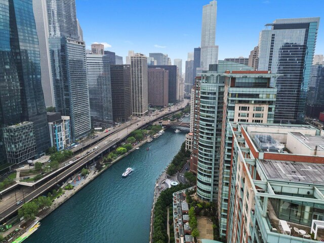 512 N Mcclurg Ct Unit 705, Chicago, IL 60611 - view of city skyline featuring a large body of water and a notable bridge
