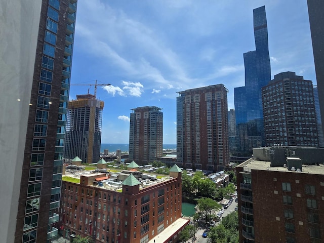512 N Mcclurg Ct Unit 705, Chicago, IL 60611 - skyline view