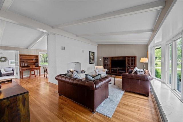 705 Meadows Rd, Geneva, IL 60134 - living room featuring light wood-type flooring, plenty of natural light, and wooden walls