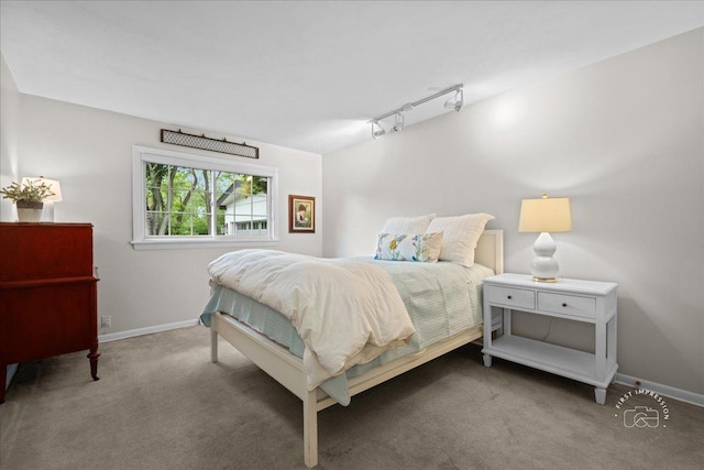 705 Meadows Rd, Geneva, IL 60134 - carpeted bedroom featuring track lighting and baseboards