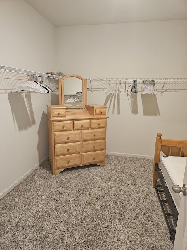 6321 Aspen Ln, Wonder Lake, IL 60097 - spacious closet with carpet floors