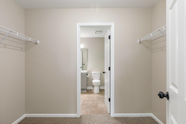 101 E Robinson Ave, Cortland, IL 60112 - walk in closet with light carpet