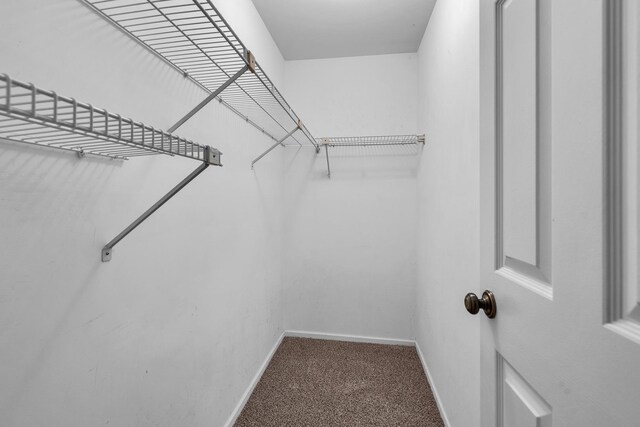 143 W Fabish Dr Unit 143, Buffalo Grove, IL 60089 - walk in closet with carpet floors