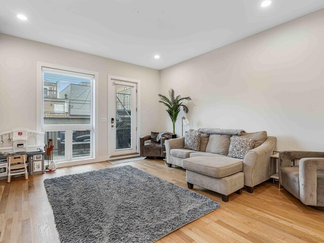 1707 S Jefferson St Unit 1, Chicago, IL 60616 - living room with wood finished floors and recessed lighting