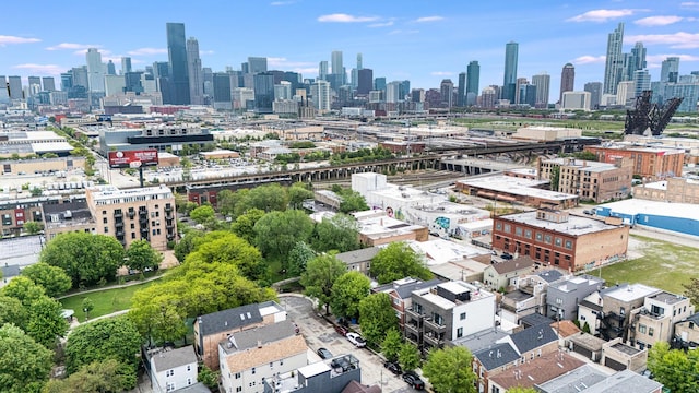 1707 S Jefferson St Unit 1, Chicago, IL 60616 - skyline view