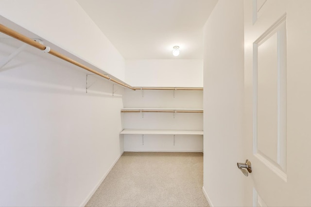 12354 S Blue Water Pkwy, Plainfield, IL 60585 - spacious closet with light colored carpet