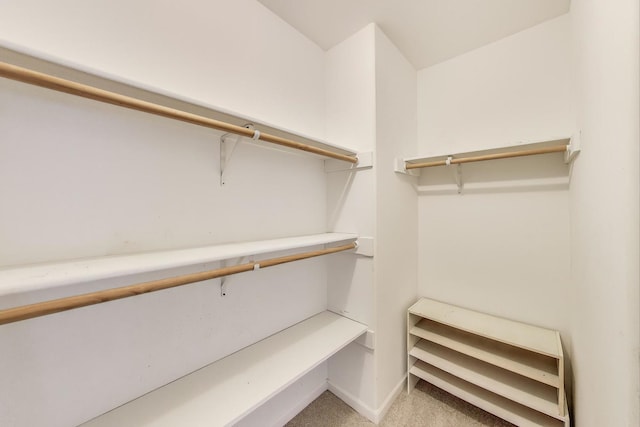 12354 S Blue Water Pkwy, Plainfield, IL 60585 - walk in closet with light colored carpet