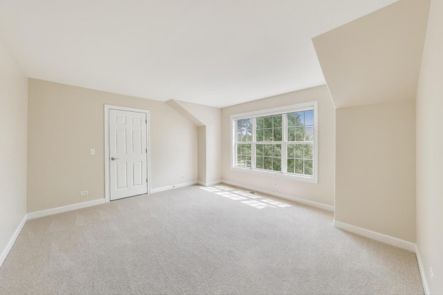 12354 S Blue Water Pkwy, Plainfield, IL 60585 - bonus room featuring carpet and baseboards