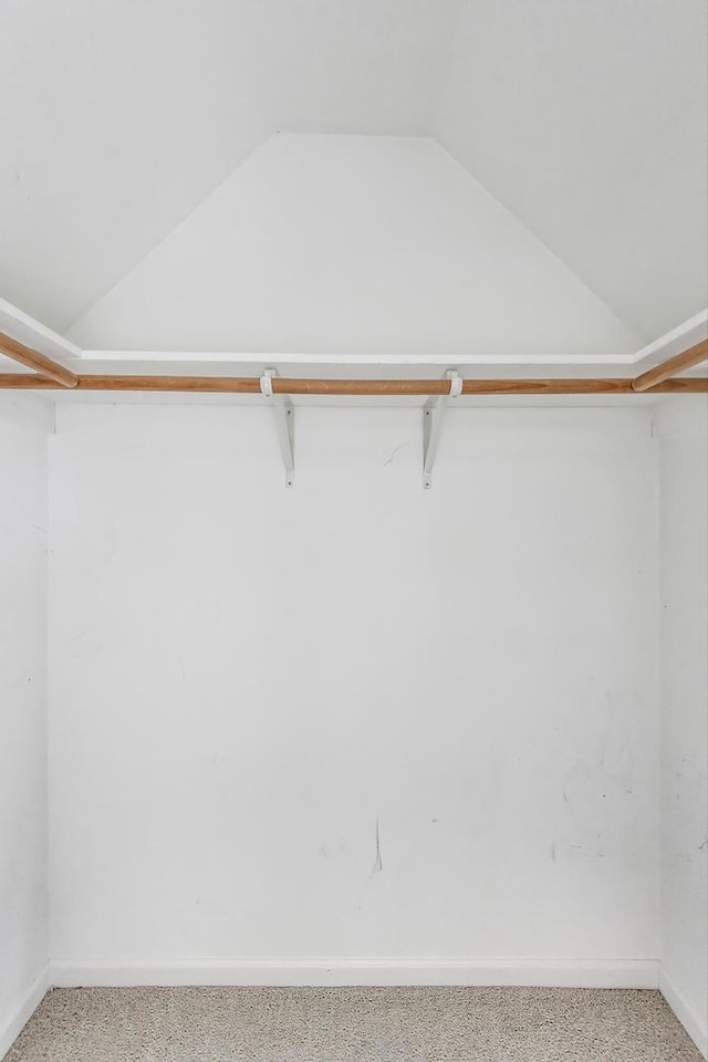 12354 S Blue Water Pkwy, Plainfield, IL 60585 - walk in closet with vaulted ceiling