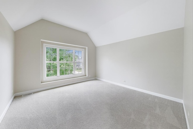 12354 S Blue Water Pkwy, Plainfield, IL 60585 - additional living space featuring carpet floors and lofted ceiling
