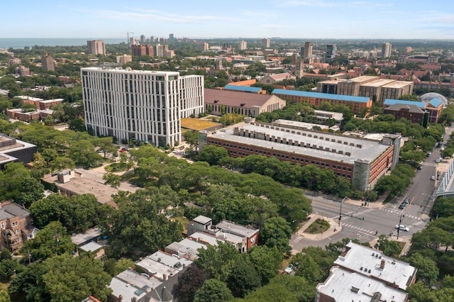 5468 S Ellis Ave, Chicago, IL 60615 - view of urban area