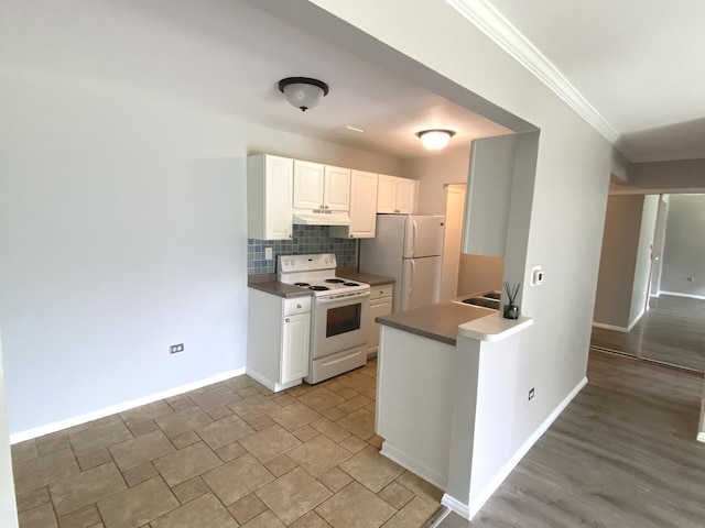 7413 Brookdale Dr Unit 103, Darien, IL 60561 - kitchen with white appliances, ornamental molding, under cabinet range hood, tasteful backsplash, and baseboards