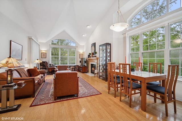 3047 Lexington Ln, Glenview, IL 60026 - living room with high vaulted ceiling, a fireplace with flush hearth, and hardwood / wood-style flooring