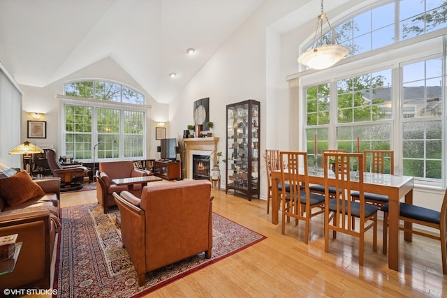 3047 Lexington Ln, Glenview, IL 60026 - living area featuring plenty of natural light, a warm lit fireplace, light wood-type flooring, and high vaulted ceiling