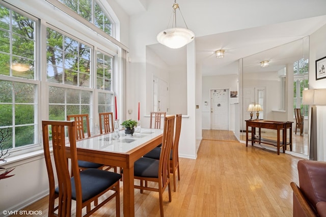 3047 Lexington Ln, Glenview, IL 60026 - dining room with light wood-style floors and baseboards