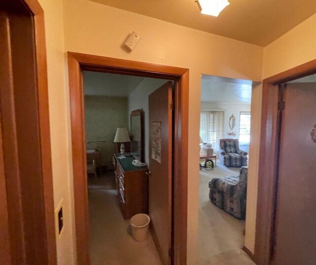 317 S Louis St, Mount Prospect, IL 60056 - photo 11