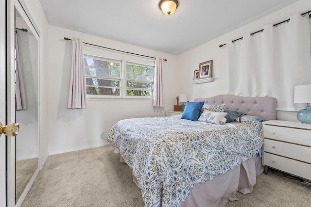 2N439 Bernice Ave, Glen Ellyn, IL 60137 - bedroom featuring carpet floors, baseboards, and a closet