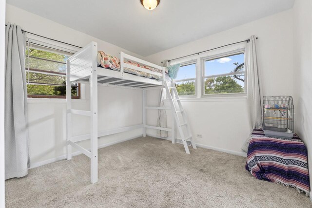 2N439 Bernice Ave, Glen Ellyn, IL 60137 - bedroom featuring carpet flooring and baseboards