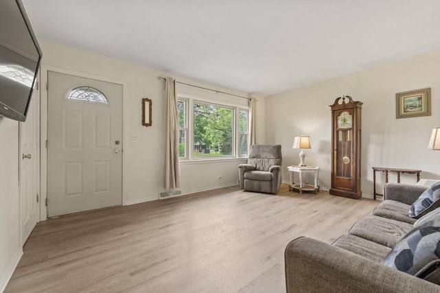 2N439 Bernice Ave, Glen Ellyn, IL 60137 - living area featuring light wood-style flooring and baseboards