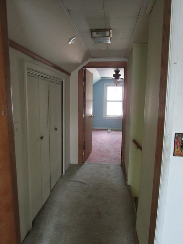 786 N Van Auken St, Elmhurst, IL 60126 - hall featuring light carpet and lofted ceiling