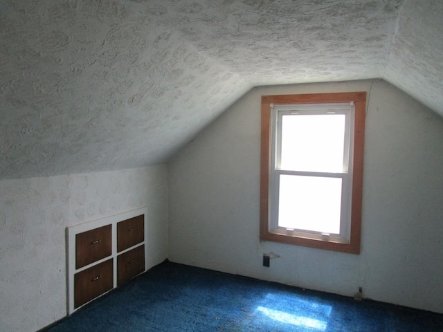 786 N Van Auken St, Elmhurst, IL 60126 - bonus room featuring a textured ceiling, vaulted ceiling, and carpet floors