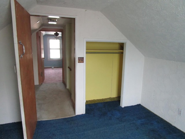 786 N Van Auken St, Elmhurst, IL 60126 - additional living space with lofted ceiling, carpet, and a textured ceiling