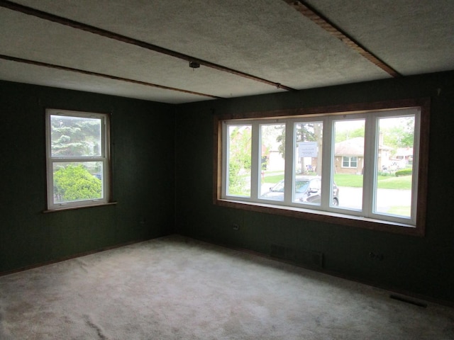 786 N Van Auken St, Elmhurst, IL 60126 - carpeted empty room with plenty of natural light and a textured ceiling