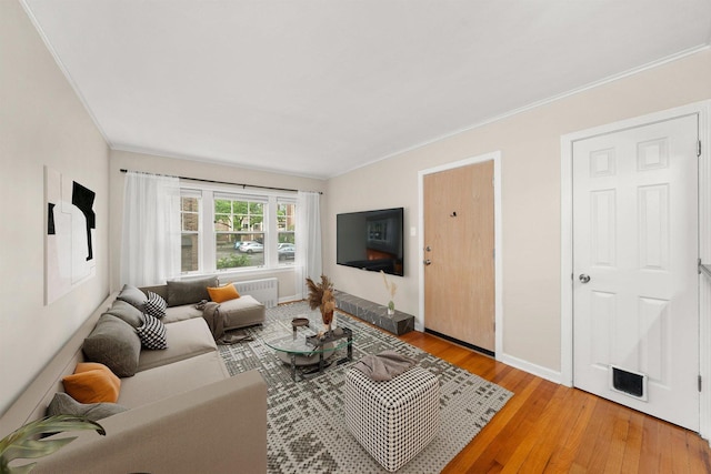 213 N Marion St Unit 1C, Oak Park, IL 60302 - living room with crown molding, light wood-style flooring, radiator, and baseboards