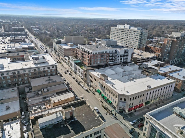 213 N Marion St Unit 1C, Oak Park, IL 60302 - view of urban area