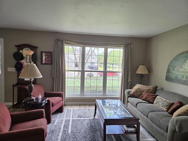 997 W Briarcliff Rd, Bolingbrook, IL 60440 - living area with plenty of natural light and wood finished floors