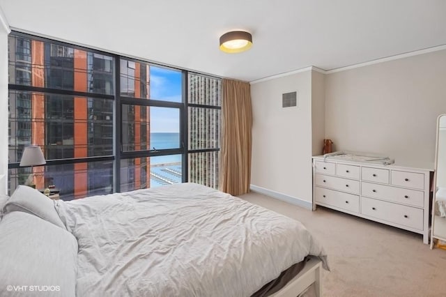 201 N Westshore Dr Unit 2608, Chicago, IL 60601 - bedroom with a water view, crown molding, light carpet, and baseboards