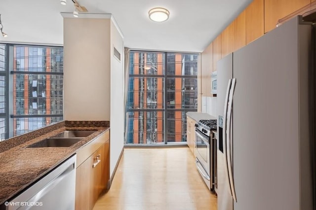 201 N Westshore Dr Unit 2608, Chicago, IL 60601 - kitchen featuring appliances with stainless steel finishes, dark stone countertops, a wall of windows, a sink, and light wood-style flooring