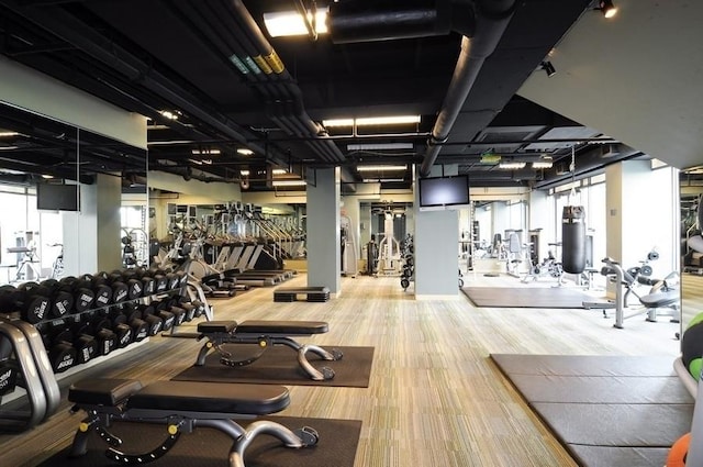 201 N Westshore Dr Unit 2608, Chicago, IL 60601 - workout area featuring wood finished floors
