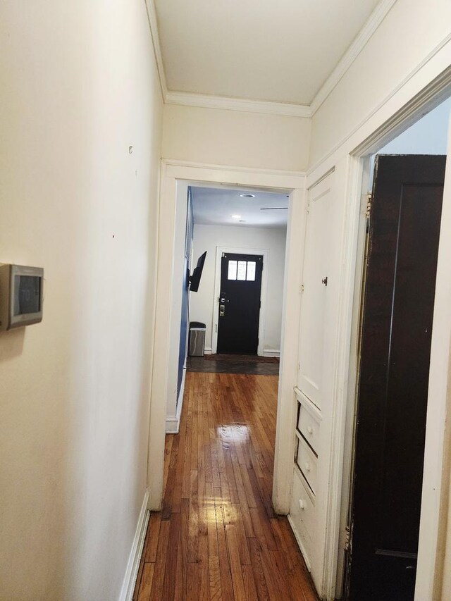 7645 S Cornell Ave, Chicago, IL 60649 - photo 28
