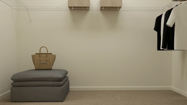 1111 Waterford St, Algonquin, IL 60102 - walk in closet featuring carpet