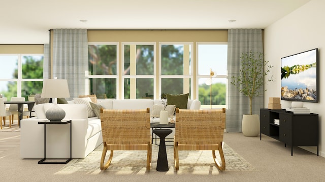 1111 Waterford St, Algonquin, IL 60102 - view of carpeted living room