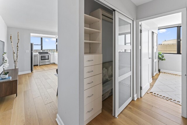 2700 N Hampden Ct Unit 24A, Chicago, IL 60614 - view of closet