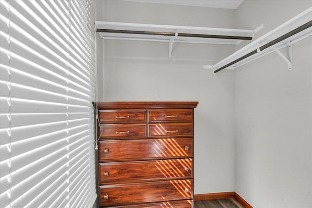1517 Bridge Point Ln, Champaign, IL 61822 - spacious closet featuring wood finished floors